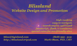 blissland website design and promotion