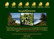 Hawaiinoni.com, 2000